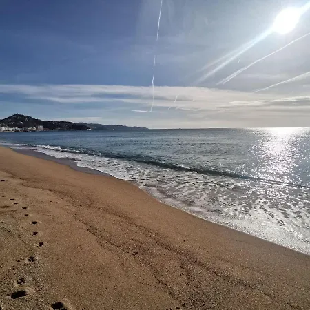 Near The Sea In Blanes